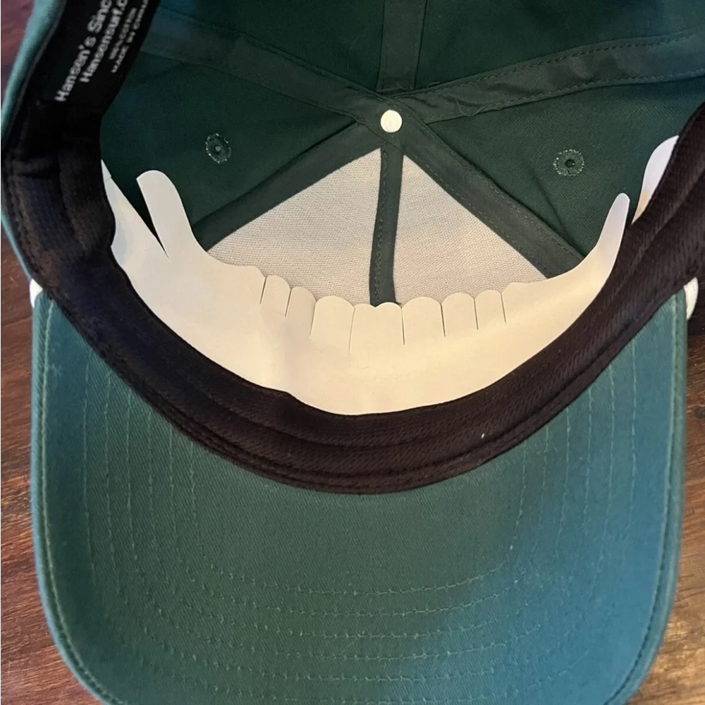 NEW Hansen Surfboards Encinitas, CA Green Cotton Snapback Hat Cap One Size